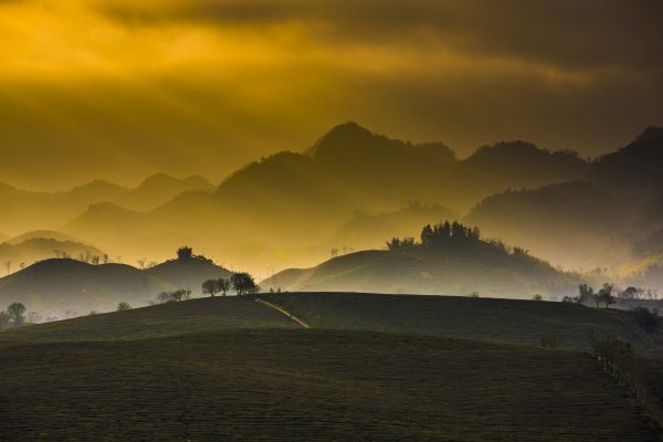 Discover the Magic of Moc Chau 2 Days 1 Night Full Car Tour!