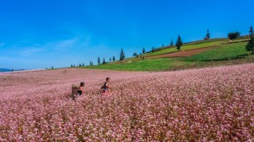 Tháng 4 Hà Giang có gì