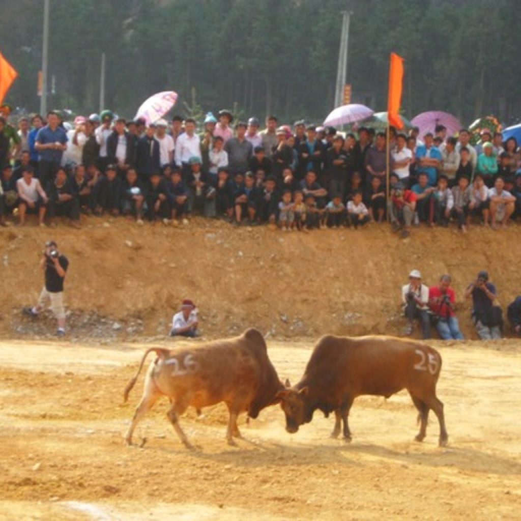 le-hoi-choi-bo-ha-giang