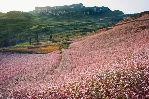 Unforgettable Escape: Ha Giang 2 Days 3 Nights Tour for the Adventurous Soul