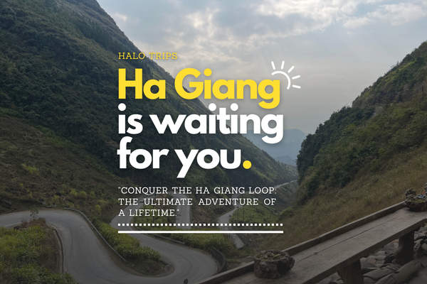 Tour Ha Giang Camping Nho Que river (3 Days 2 Night)