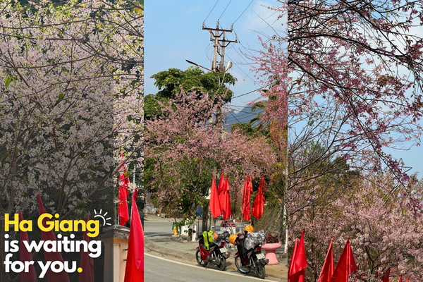 Tour Ha Giang Camping Nho Que river (3 Days 2 Night)