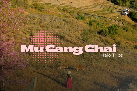 Mu Cang Chai Tour – 2 Days 1 Night