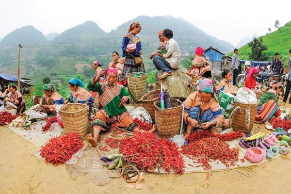 Explore Local Markets Tha Village for a Heartwarming Cultural Experience