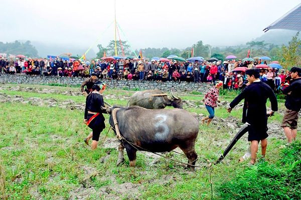 Discover the Magical Spring Farming Festival Tha Village